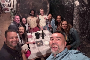 Ribera del Duero Tour: From Madrid to Ribera del Duero - lunch included