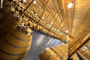 Ribera del Duero Tour: From Madrid to Ribera del Duero - lunch included