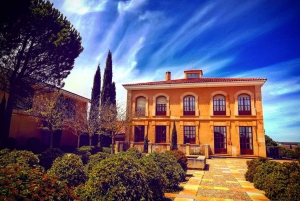 Ribera del Duero Tour: From Madrid to Ribera del Duero - lunch included
