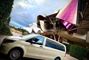 Ribera del Duero Tour: From Madrid to Ribera del Duero - lunch included