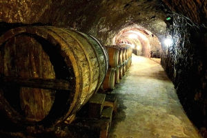 Ribera del Duero Tour: From Madrid to Ribera del Duero - lunch included