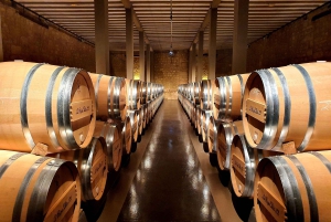 Ribera del Duero Tour: From Madrid to Ribera del Duero - lunch included