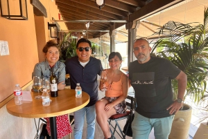 Ribera del Duero Tour: From Madrid to Ribera del Duero - lunch included