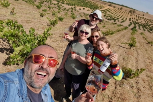 Ribera del Duero Tour: From Madrid to Ribera del Duero - lunch included