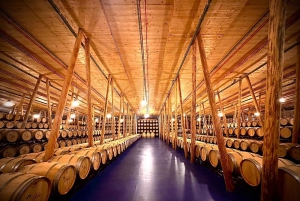 Ribera del Duero Tour: From Madrid to Ribera del Duero - lunch included