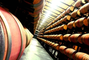 Ribera del Duero Tour: From Madrid to Ribera del Duero - lunch included