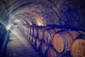 Ribera del Duero Tour: From Madrid to Ribera del Duero - lunch included