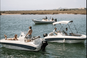 Roses: Båtutleie uten lisens