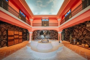 San Juan: Casa Bacardi Distillery Tour