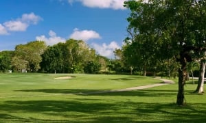 Sandy Lane Golf Courses