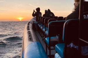 Sesimbra: Arrábida naturpark Cabo Espichel solnedgangstur