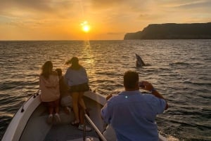 Sesimbra: Arrábida naturpark Cabo Espichel solnedgangstur
