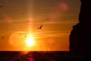 Sesimbra: Arrábida naturpark Cabo Espichel solnedgangstur