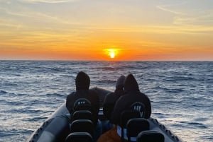 Sesimbra: Arrábida naturpark Cabo Espichel solnedgangstur