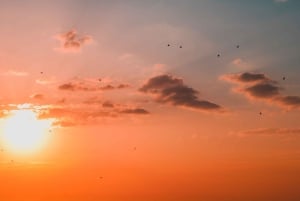 Sesimbra: Arrábida naturpark Cabo Espichel solnedgangstur