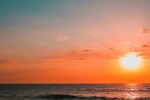 Sesimbra: Arrábida naturpark Cabo Espichel solnedgangstur