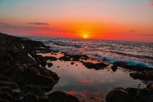 Sesimbra: Arrábida naturpark Cabo Espichel solnedgangstur