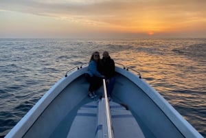 Sesimbra: Arrábida naturpark Cabo Espichel solnedgangstur