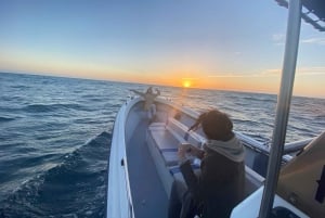 Sesimbra: Arrábida naturpark Cabo Espichel solnedgangstur