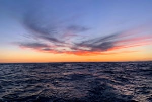Sesimbra: Arrábida naturpark Cabo Espichel solnedgangstur