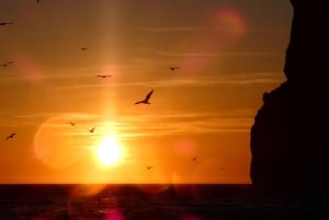 Sesimbra: Arrábida naturpark Cabo Espichel solnedgangstur