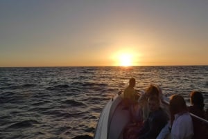 Sesimbra: Arrábida naturpark Cabo Espichel solnedgangstur