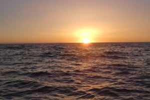 Sesimbra: Arrábida naturpark Cabo Espichel solnedgangstur