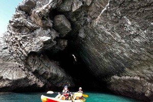 Sesimbra: Kajaktur i Arrábida naturpark