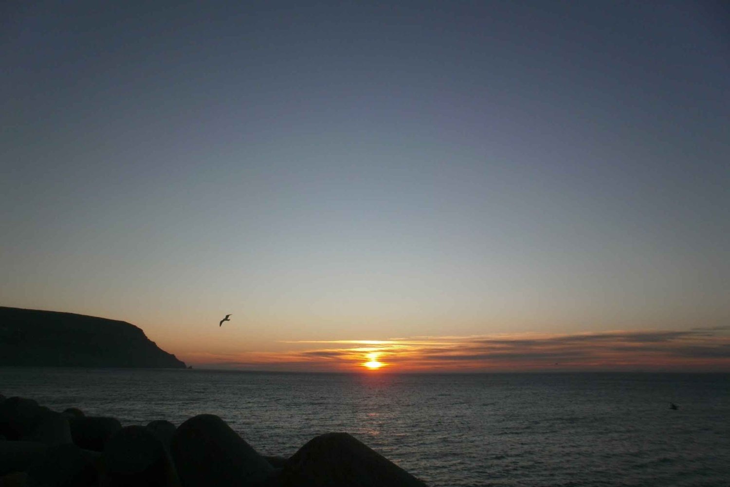 Sesimbra/Arrábida: Sunrise on Board Tour