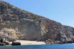 Sesimbra: Private boat trip in the Arrábida Natural Park.
