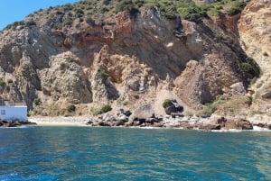 Sesimbra: Private boat trip in the Arrábida Natural Park.