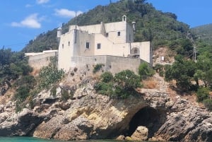 Sesimbra: Private boat trip in the Arrábida Natural Park.