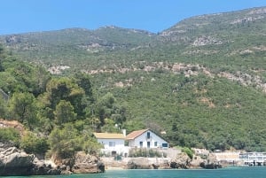 Sesimbra: Private boat trip in the Arrábida Natural Park.