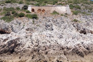 Sesimbra: Private boat trip in the Arrábida Natural Park.