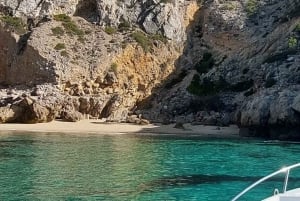 Sesimbra: Private boat trip in the Arrábida Natural Park.