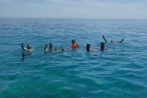 Sesimbra: Private boat trip in the Arrábida Natural Park.