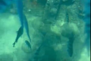 Clear Kayak Shipwreck and Sea Turtle Guided Tour