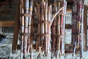 Południowa Madera: wycieczka 1-dniowa, zapierająca dech w piersiach wycieczka w góry i wzdłuż wybr