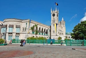 Туры по острову сладкой жизни
