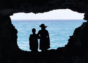 The Animal Flower Cave