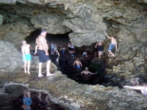 The Animal Flower Cave