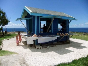 The Animal Flower Cave