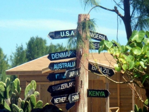 The Animal Flower Cave