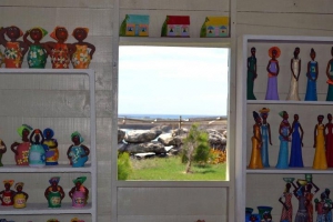 The Animal Flower Cave