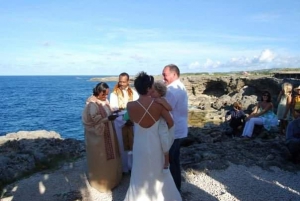 The Animal Flower Cave