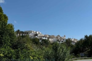 Великолепное 7-дневное путешествие