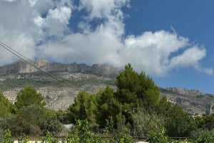 Великолепное 7-дневное путешествие