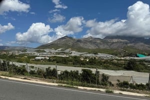 Великолепное 7-дневное путешествие