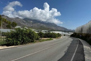 Великолепное 7-дневное путешествие