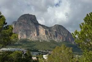 Великолепное 7-дневное путешествие